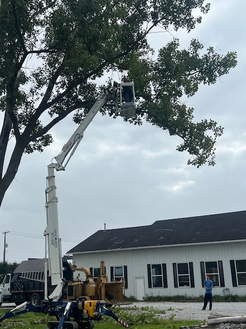 Great Lakes Tree Service — photo
