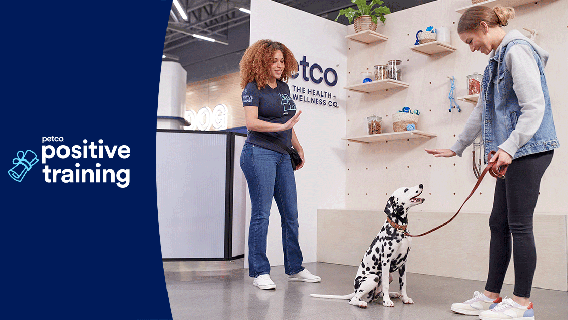 Petco Dog Training — photo
