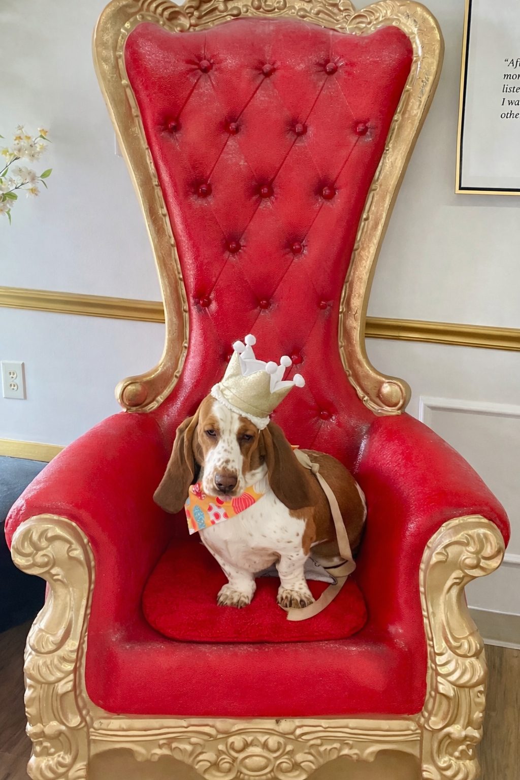 The Crown & Paw Spa — photo